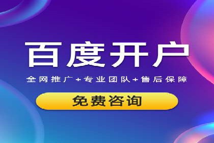 SEM代理服务：助力企业精准营销案例解析